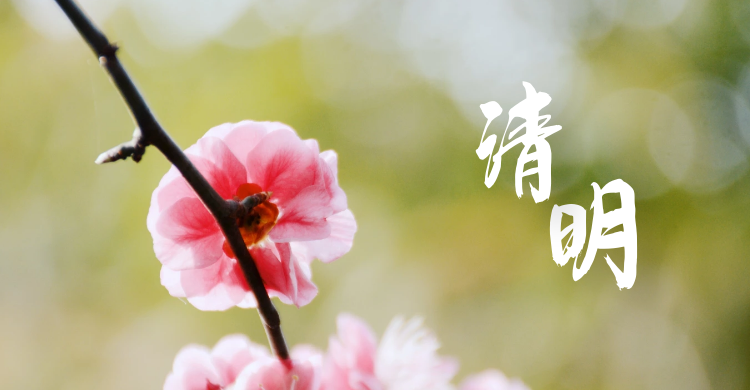 微信图片_20220406103706.png 微信图片_20220406103706.png