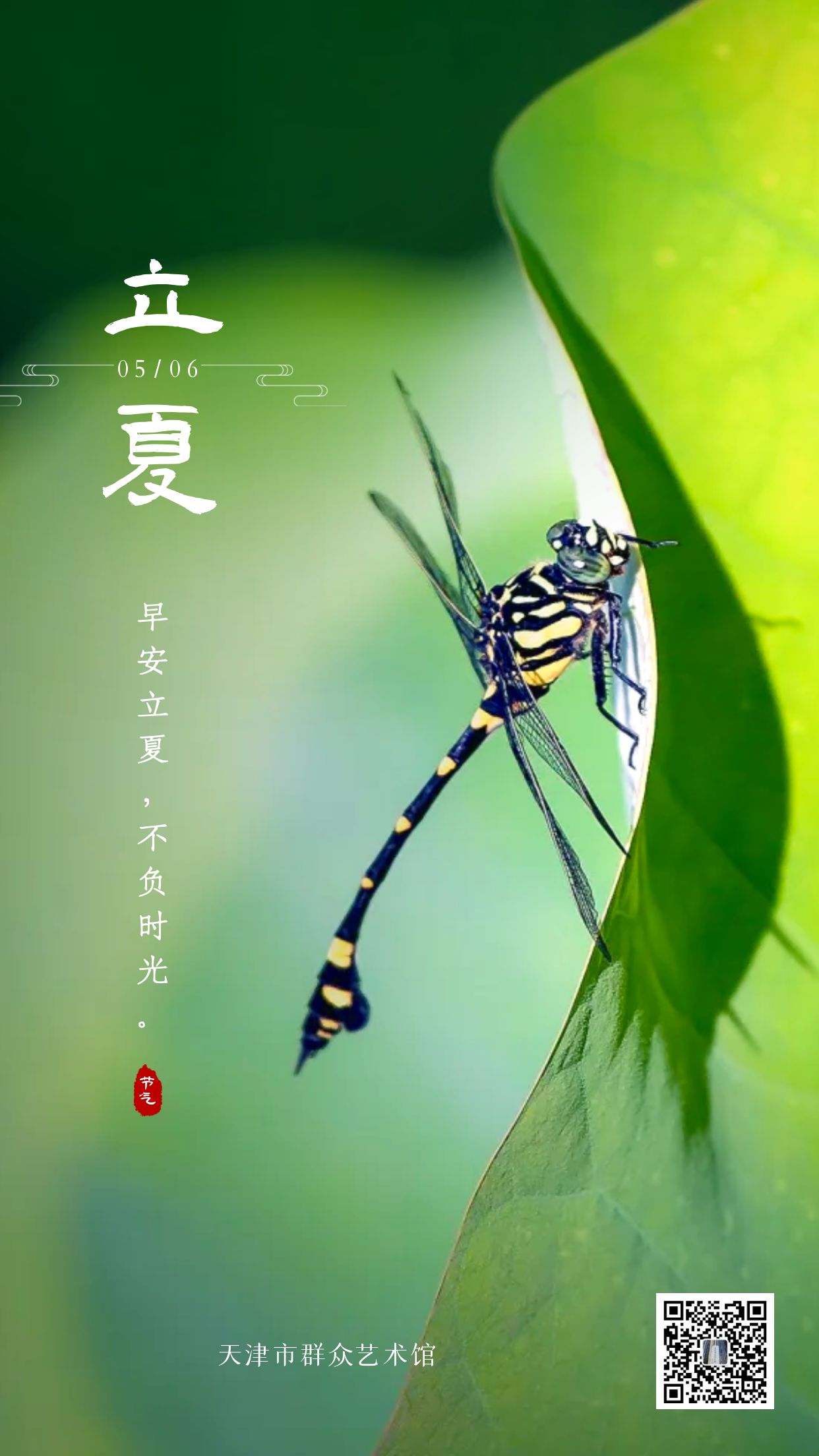 立夏.jpg